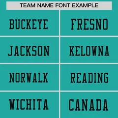 Aqua Black Sequin Lettering Moisture-Wicking Football Jersey 3