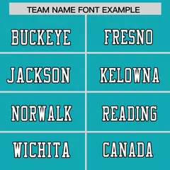 Aqua Classic Authentic Football Jersey 3