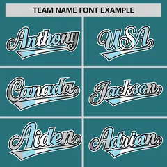 Aqua Demiboy Pride Month Classic Authentic Baseball Jersey 3