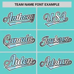 Aqua Demiboy Pride Month Classic Authentic Baseball Jersey 3