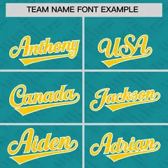 Aqua Gold L Pattern Raglan Sleeves Full-Snap Varsity Letterman Jacket 3
