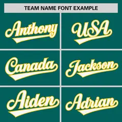 Aqua Gold Raglan Sleeves Round-Neck Hockey Jersey 4