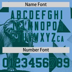 Aqua Light Blue Raptor Series Raglan Baseball Jersey 5