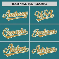 Aqua Old Gold-Cream Raglan Sleeves V-Neck Hockey Jersey 3
