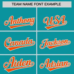 Aqua Orange Stripe Animals Graffiti Raglan Baseball Jersey 3