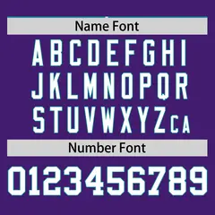 Aqua Purple Pinstripe Raglan Baseball Jersey 4
