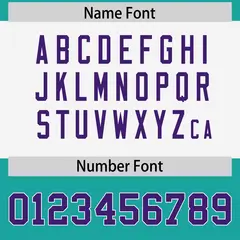 Aqua Purple Raglan Authentic Football Jersey 4