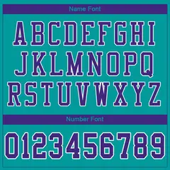 Aqua Purple-White Classic Mesh Authentic Football Jersey 3