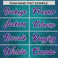Aqua Snakeskin Graffiti Pattern Authentic Football Jersey 3