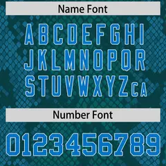 Aqua Snakeskin Graffiti Pattern Authentic Football Jersey 4