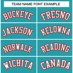Aqua White-Red Classic Style Hockey Jersey 3