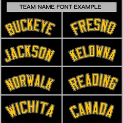 Black and Gold Raglan Varsity Full-Snap Letterman Jacket 5