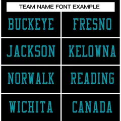 Black Aqua-Black Classic Authentic Football Jersey 3