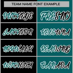 Black Aqua Two Tone Split Varsity Full-Snap Letterman Jacket 5