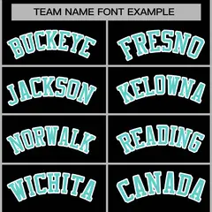 Black Aqua-White Classic Varsity Full-Snap Letterman Jacket 5