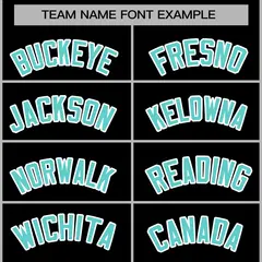 Black Aqua-White Classic Varsity Full-Snap Letterman Jacket 5