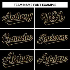 Black Black-Old Gold Varsity Full-Snap Letterman Jacket 3