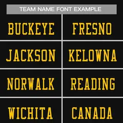 Black Gold-Black Classic Mesh Authentic Football Jersey 3