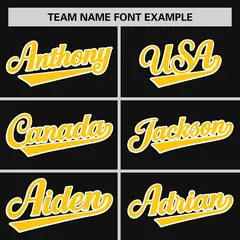 Black Gold-White Stripe Raglan Baseball Jersey 3