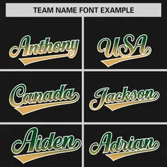 Black Kelly Green-Khaki Gradient Varsity Full-Snap Raglan Baseball Jacket 3