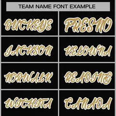 Black Old Gold-White Varsity Full-Snap Letterman Jacket 5