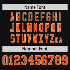 Black Orange-White Classic Authentic Football Jersey 4