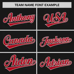 Black Red-Gray Raglan Sleeves Authentic Baseball Jersey 3