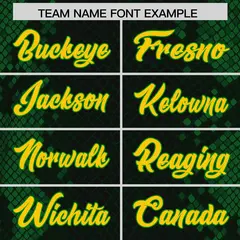 Black Snakeskin Graffiti Pattern Authentic Football Jersey 3