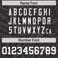 Black White-Aqua Zebra Stripes Football Jersey 4