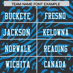 Black White-Powder Blue Zebra Stripes Football Jersey 3