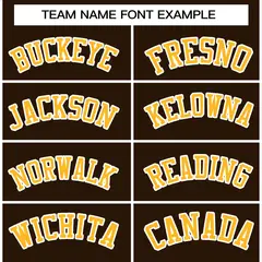 Brown Gold-White Varsity Full-Snap Letterman Jacket 5