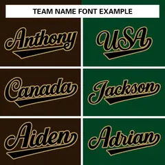 Brown Green-Black Two Tone Split Varsity Full-Snap Letterman Jacket 5