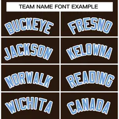 Brown Powder Blue-White Varsity Full-Snap Letterman Jacket 3