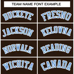 Brown Powder Blue-White Varsity Full-Snap Letterman Jacket 3