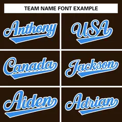 Brown Powder Blue-White Varsity Full-Snap Letterman Jacket 5