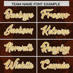 Brown Snakeskin Graffiti Pattern Authentic Football Jersey 3