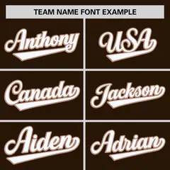 Brown Tea Brown Color Block Varsity Letterman Baseball Jacket 3