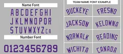 Bull Classic Sets Gray Purple Basketball Jersey 4