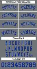 Classic Dark Gray Royal Basketball Jersey 3