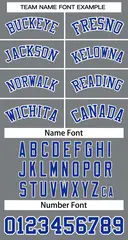 Classic Dark Gray Royal-White Basketball Jersey 3
