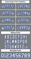 Classic Dark Gray White-Royal Basketball Jersey 3