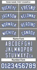 Classic Dark Gray White-Royal Basketball Jersey 3