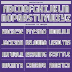 Classic Sets Basketball Jersey Purple Gray-White 5