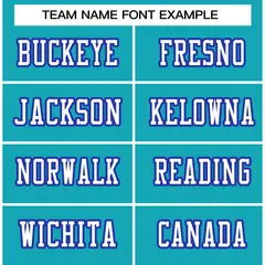 Classic Style Aqua Royal-White Authentic Football Jersey 3