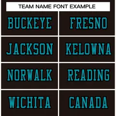 Classic Style Brown Aqua-Black Authentic Football Jersey 3
