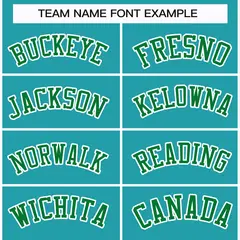 Classic Style Hockey Jersey in Aqua Kelly Green-White 3