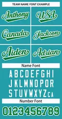 Classic Style Hockey Jersey in Aqua Kelly Green-White 3