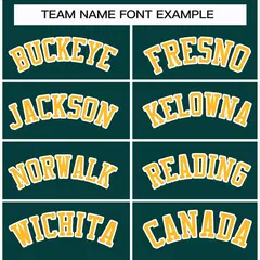 Classic Style Hockey Jersey in Midnight Green Gold-White 3