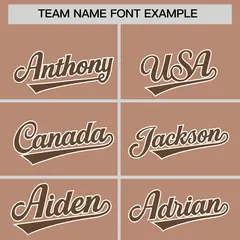 Coffee Brown Light Brown-White Varsity Full-Zip Raglan Stripe Letterman Bomber Jacket 3