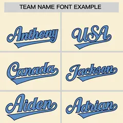 Cream Light Blue-Light Gray Stripe Full Button Baseball Jersey 4